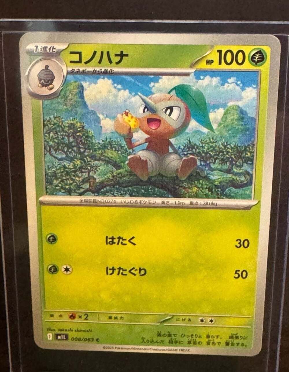 Nuzleaf 008/063 Japanese Pokémon Card from Mega Evolution (M1L) Set